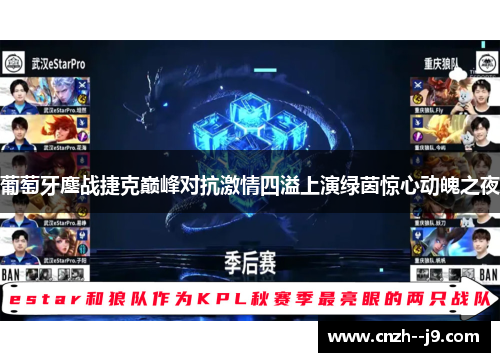 葡萄牙鏖战捷克巅峰对抗激情四溢上演绿茵惊心动魄之夜