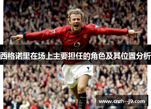 西格诺里在场上主要担任的角色及其位置分析 西格诺里在场上主要担任的角色及其位置分析