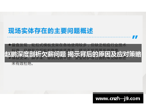 赵鹏深度剖析欠薪问题 揭示背后的原因及应对策略