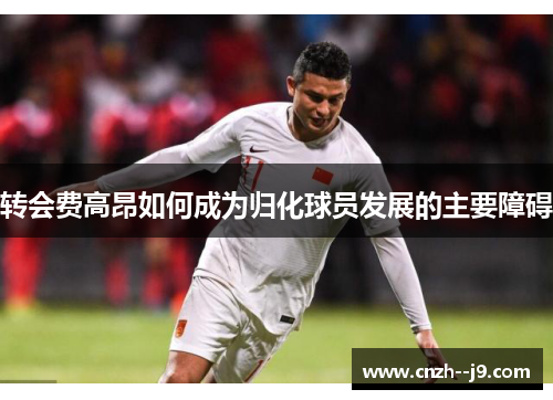 转会费高昂如何成为归化球员发展的主要障碍 转会费高昂如何成为归化球员发展的主要障碍