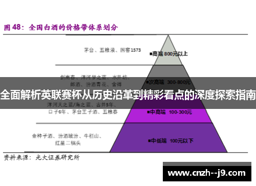全面解析英联赛杯从历史沿革到精彩看点的深度探索指南 全面解析英联赛杯从历史沿革到精彩看点的深度探索指南