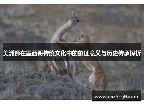 美洲狮在墨西哥传统文化中的象征意义与历史传承探析