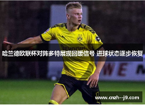 /uploads/images/20260529/ha-lan-de-ou-lian-bei-dui-zhen-duo-te-zhan-xian-hui-nuan-xin-hao-jin-qiu-zhuang-tai-zhu-bu-hui-fu.webp