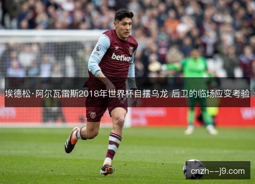 埃德松·阿尔瓦雷斯2018年世界杯自摆乌龙 后卫的临场应变考验